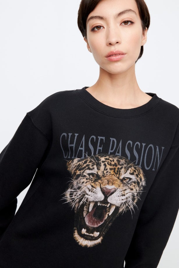 BUZO CHASE PASSION